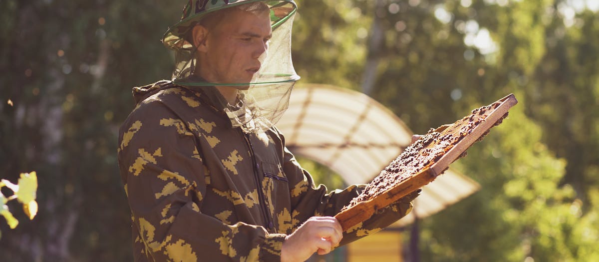 A beekeeper in protective attire examines a beehive outdoors.